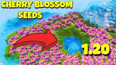 beautiful cherry blossom seeds minecraft